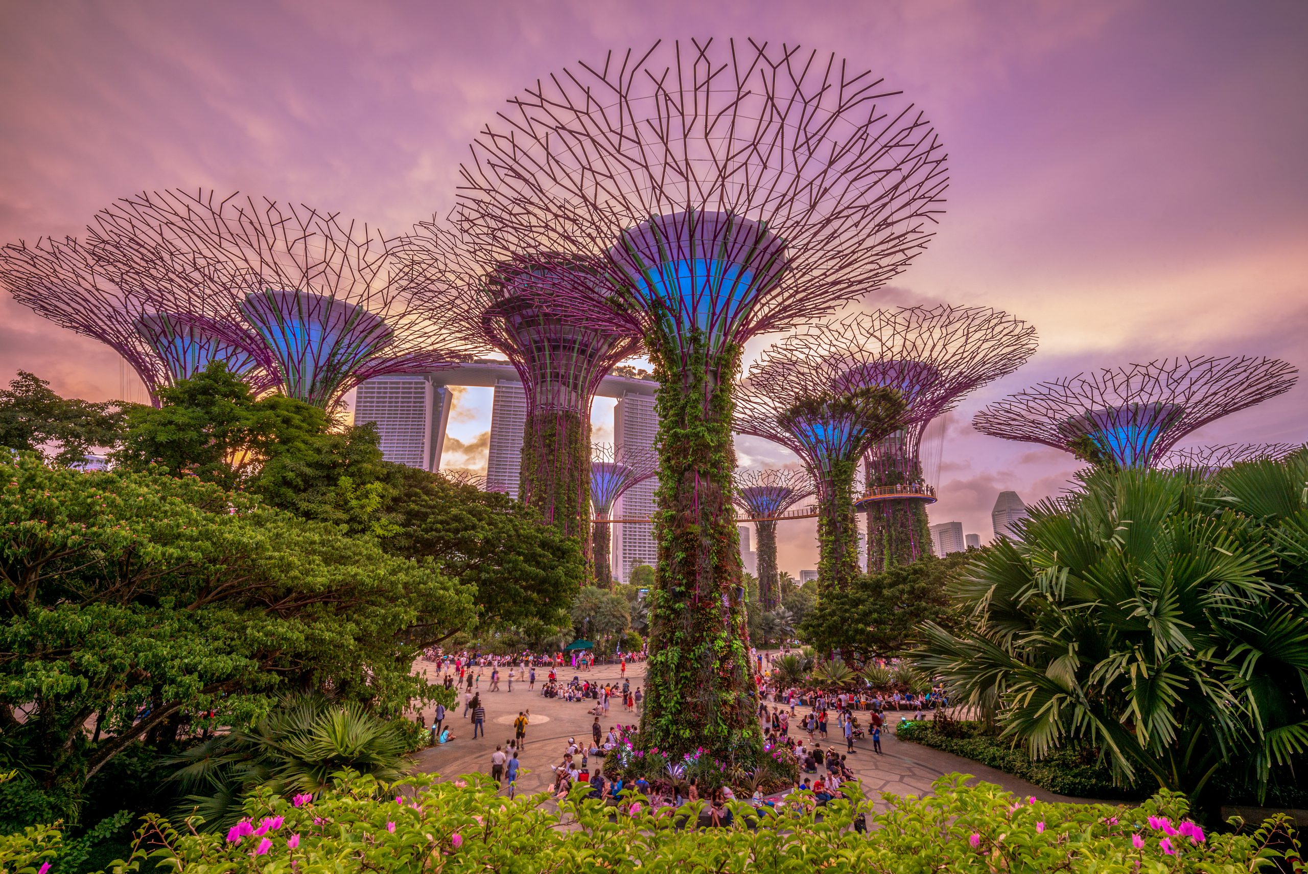 Gardens by the Bay with supertree in Singapore