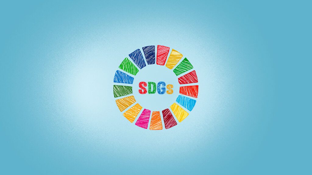 SDG logo